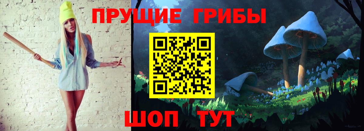 Галлюциногенные грибы GOLDEN TEACHER Каменка