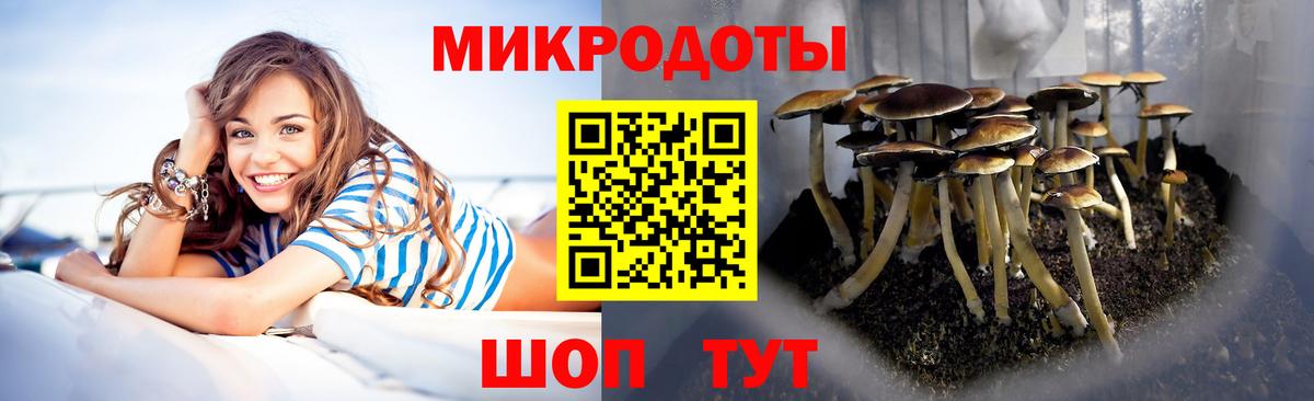 Галлюциногенные грибы MAGIC MUSHROOMS  Вход с VPN  где можно купить   Галлюциногенные грибы ЛСД  Каменка 